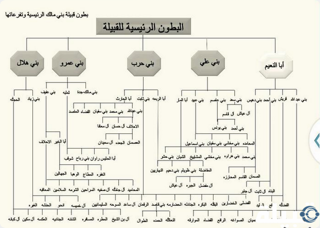 اكثر عدد قبيلة في الوطن العربي