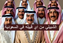 الشبيلي من اي قبيله